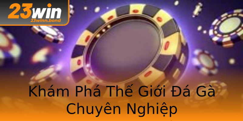 Khám Phá Thế Giới Đá Gà Chuyên Nghiệp Khám Phá Thế Giới Đá Gà Chuyên Nghiệp